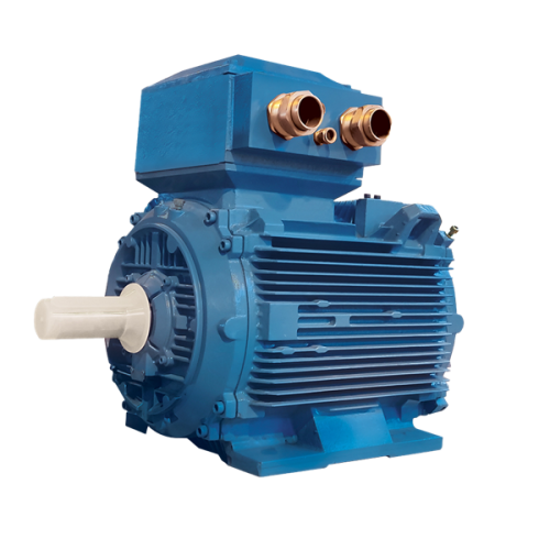 الکتروموتور 225M8B 22-750 EExdII CT4 380/660 55F B3