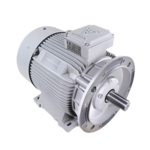 الکتروموتور 132M6C 5.5-1000 55F 380/600 B35